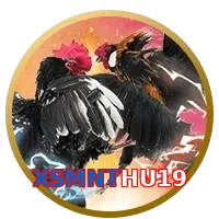 XSMNTHU19